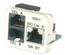 Адаптерная вставка AMP CO™ Plus 3xRJ45 Cat.6 (две телефонные линии + Fast Ethernet), Цвет: миндальный (RAL 9013)