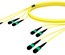 Претерминированный кабель MPOptimate® ULL 48 волокон OS2 G.657.A2 4хMPO12(m)/4хMPO12(m), APC, UltraLowLoss, изоляция: LSZH B2ca, Полярность: метод А, t=-10-+60 град., цвет: жёлтый, Длина м.: 25