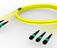 Претерминированный кабель G.652.D and G.657.A1 , OS2 TeraSPEED® 3xMPO12(f)/3xMPO12(f), изоляция: LSZH, EuroClass B2ca, t=-10-+60 град., цвет: жёлтый, Длина м.: 20
