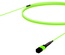 Претерминированный кабель 12 волокон LazrSPEED® WideBand OM5 MPO12(f)/MPO12(f), изоляция: LSZH, EuroClass B2ca, t=-10-+60 град., цвет: lime