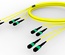 Претерминированный кабель G.652.D and G.657.A1 , OS2 TeraSPEED® 4xMPO12(f)/4xMPO12(f), изоляция: LSZH, EuroClass B2ca, t=-10-+60 град., цвет: жёлтый, Длина м.: 5