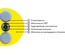 Hyperline FO-STFR-IN-9-8-LSZH-YL Кабель волоконно-оптический 9/125 (G.652D) одномодовый, 8 волокон, одномодульный, круглый, водоблокирующий гель, усиленный стеклопластиковыми стержнями, внутренний, LSZH, нг(А)-HF, желтый
