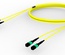Претерминированный кабель 24 волокна G.652.D and G.657.A1 , OS2 TeraSPEED® 2xMPO12(f)/2xMPO12(m), изоляция: LSZH, EuroClass B2ca, t=-10-+60 град., цвет: жёлтый