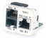Адаптерная вставка AMP CO™ Plus 3xRJ45 Cat.6 (две телефонные линии + Fast Ethernet), цвет: белый (RAL 9010)