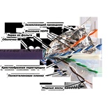 Кабель LANMASTER F/UTP, 4 пары, Кат. 6A, с перегородкой, LSZH, нг(А)-HF, фиолетовый, 305 м