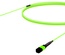 Претерминированный кабель 12 волокон LazrSPEED® WideBand OM5 MPO12(f)/MPO12(m), изоляция: LSZH, EuroClass B2ca, t=-10-+60 град., цвет: lime