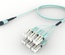 Разветвительный кабель (гидра) MPOptimate® OM4 MPO12(f)/6xLC Duplex, UltraLowLoss, изоляция: Plenum, Полярность: метод А, t=-10-+60 град., цвет: бирюзовый