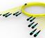 Претерминированный кабель 72 волокна G.652.D and G.657.A1 , OS2 TeraSPEED® 6xMPO12(f)/6xMPO12(m), изоляция: LSZH, EuroClass B2ca, t=-10-+60 град., цвет: жёлтый