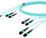 Претерминированный кабель MPOptimate® ULL 48 волокон OM4 4хMPO12(m)/4хMPO12(m), UltraLowLoss, изоляция: LSZH, Полярность: метод А, t=-10-+60 град., цвет: бирюзовый, Длина м.: 10