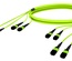 Претерминированный кабель 48 волокон LazrSPEED® WideBand OM5 4xMPO12(f)/4xMPO12(f), изоляция: LSZH, EuroClass B2ca, t=-10-+60 град., цвет: lime