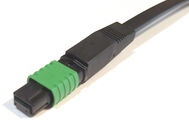 Разъём TeraSPEED® QWIK MPO/APC без штырьков для полевой установки на ленточный кабель
